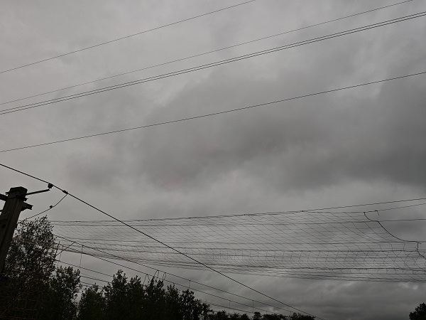 1762409354872009714.jpg 拆网进行中.jpg