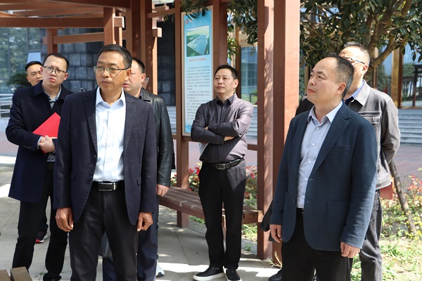 1773974395303086868.jpg IMG_8925.jpg